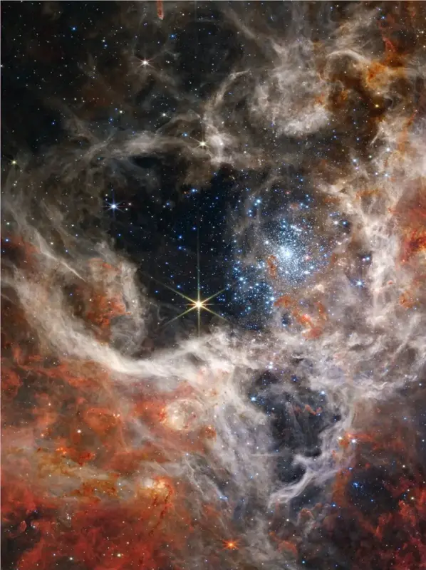 The Tarantula Nebula fine art print