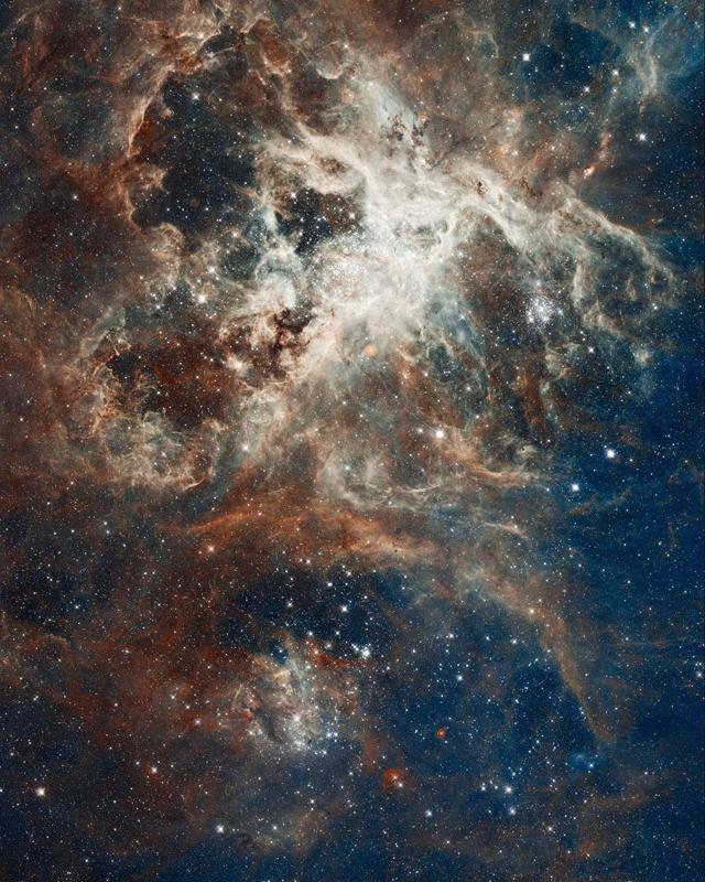 Star Forming Doradus fine art print